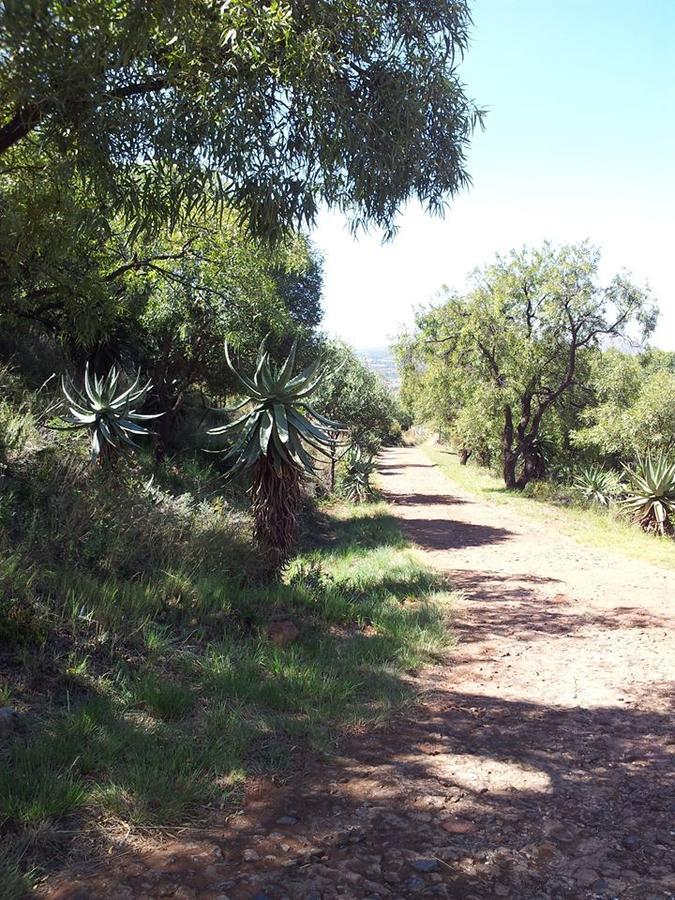 Benlize Lodge Hartbeespoort Exteriör bild